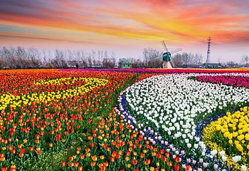 大浦乡村世界景区第 9 张图片