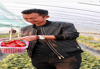 小王国草莓农场第 2 张图片