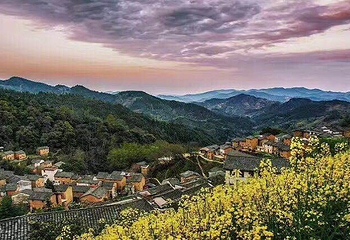 阳产土楼第 19 张图片