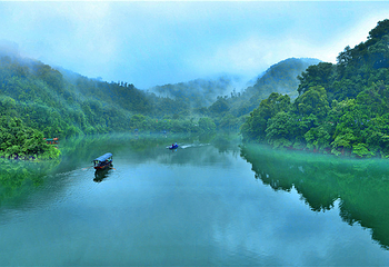 鼎湖山第 5 张图片