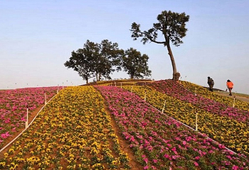 清远静山湖景区第 39 张图片