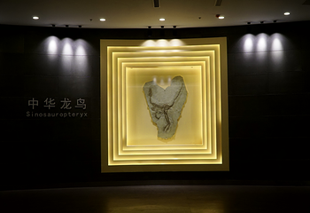 辽宁朝阳鸟化石国家地质公园第 31 张图片