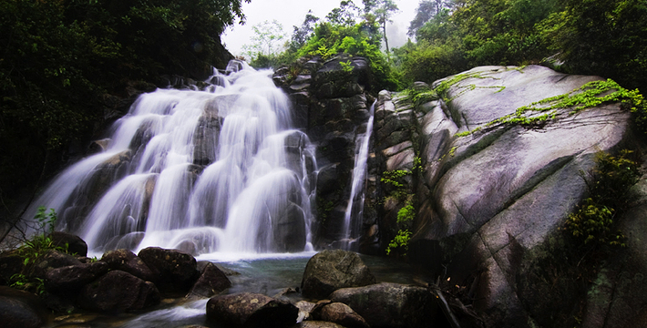 九龙江国家森林公园