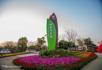 炫彩万木源第 31 张图片