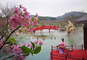 东湖樱花园第 38 张图片