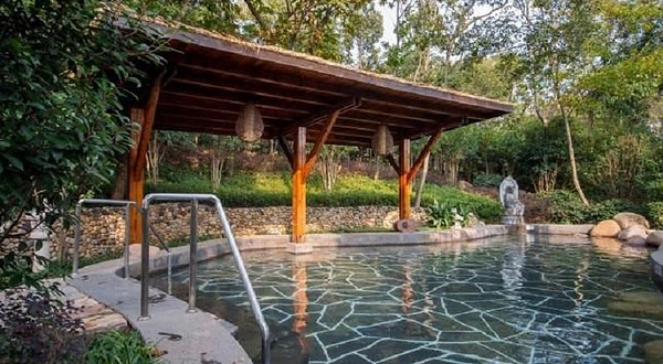 紫清湖狮子星乐园