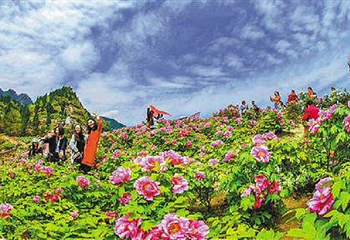 恺之峰旅游区第 24 张图片