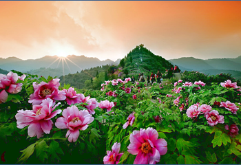 恺之峰旅游区第 14 张图片
