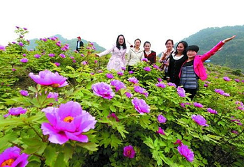 恺之峰旅游区第 26 张图片