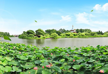 伏尔加庄园第 100 张图片