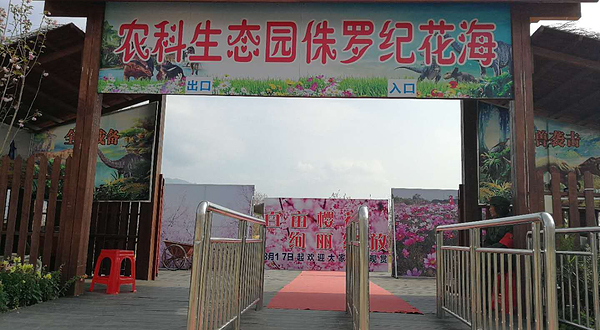 农科生态园侏罗纪花海