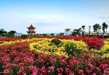 黛眉山景区第 10 张图片