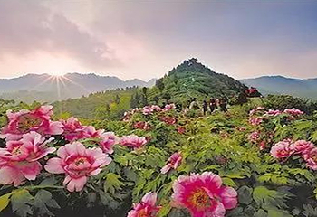 郫县花田喜事景区第 6 张图片