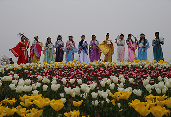 赛石沂水花朝园第 31 张图片