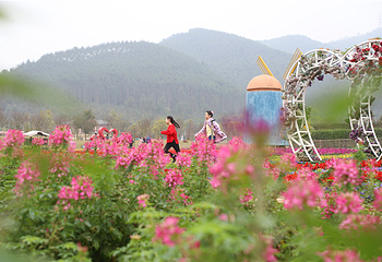 佛山美的鹭湖爱丽丝庄园第 60 张图片