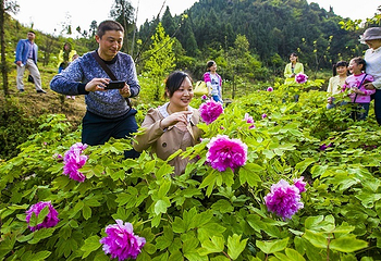 恺之峰旅游区第 22 张图片