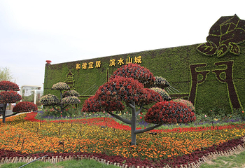 世界花卉大观园第 11 张图片