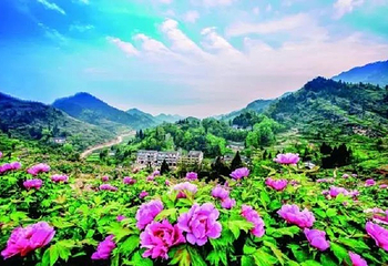 恺之峰旅游区第 37 张图片