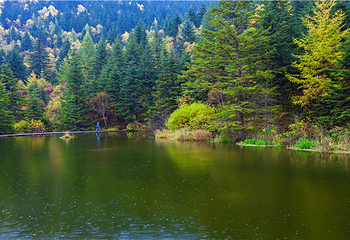 芦芽山旅游度假区第 60 张图片