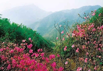 九山顶自然风景区第 6 张图片