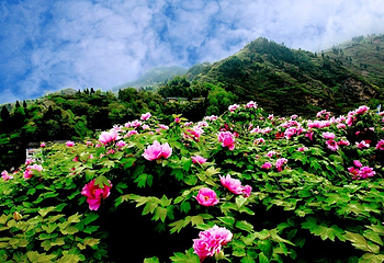 恺之峰旅游区第 29 张图片