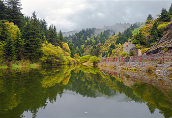 芦芽山旅游度假区第 126 张图片