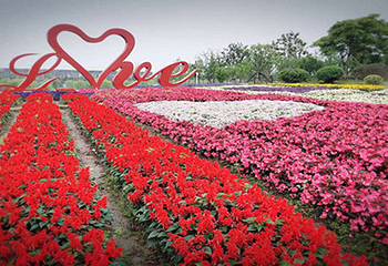 花千谷文化旅游景区第 4 张图片