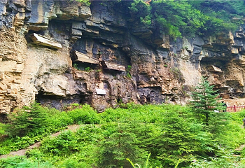 芦芽山旅游度假区第 114 张图片