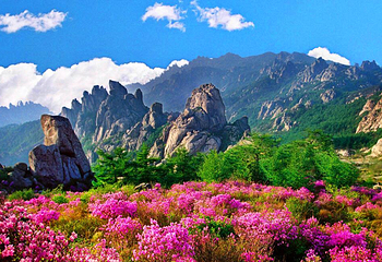 崂山风景区第 22 张图片