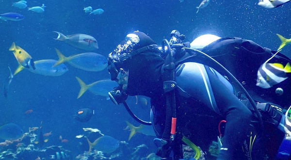 威海蓝色海洋潜水俱乐部