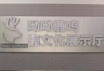 呦呦鹿鸣公园第 6 张图片
