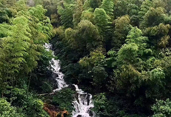 灵山风景区第 6 张图片