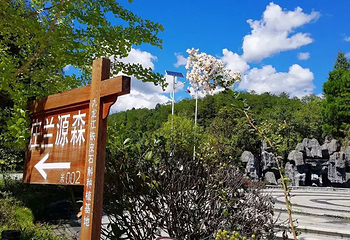 九龙江国家森林公园第 66 张图片