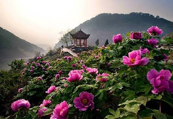 恺之峰旅游区第 34 张图片