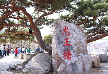 龙王塘樱花园第 6 张图片
