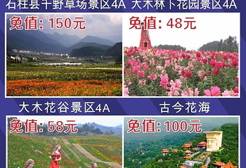 重庆夏季游览卡第 4 张图片