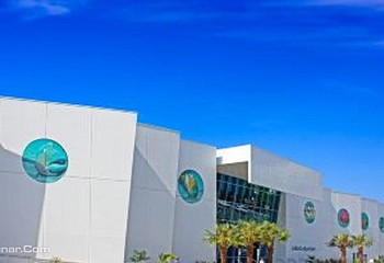 凯恩斯水族馆第 5 张图片