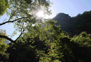 福州日溪峡谷瀑布景区第 25 张图片