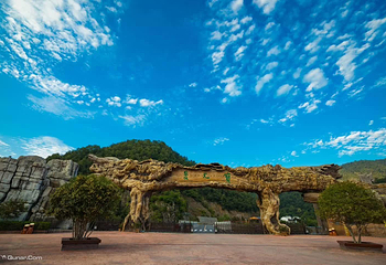 内乡宝天曼生态文化旅游区第 7 张图片