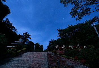 西双版纳热带雨林国家公园望天树景区第 49 张图片