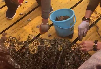 威海汇悦海洋牧场第 4 张图片