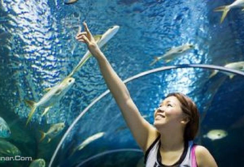 凯恩斯水族馆第 3 张图片