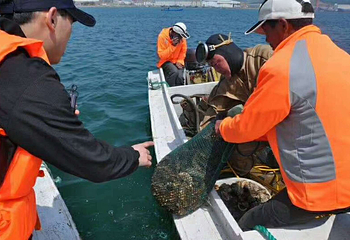 威海汇悦海洋牧场第 8 张图片