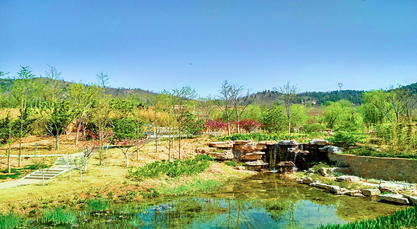 马山慢城景区-竹林花海园