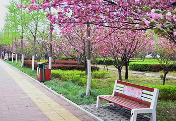 中国河南鹤壁樱花节球幕影院第 2 张图片
