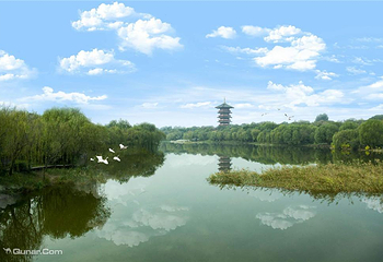 白浪绿洲湿地公园第 18 张图片
