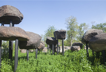 新疆古生态园汗血马基地第 45 张图片
