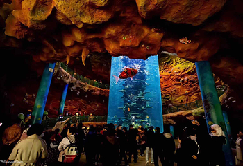 青岛嘉年华主题乐园第 19 张图片