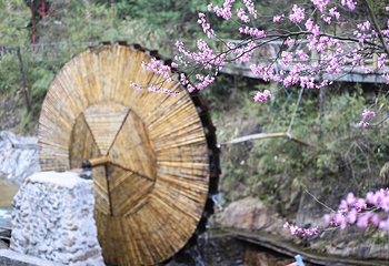 虎踞峡第 26 张图片