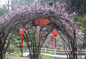虎踞峡第 33 张图片